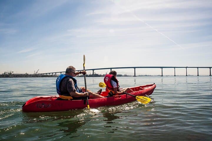 San Diego Bay Kayak Tour from Coronado: 1.5-Hour Guided Paddle Under the Coronado Bridge photo 5