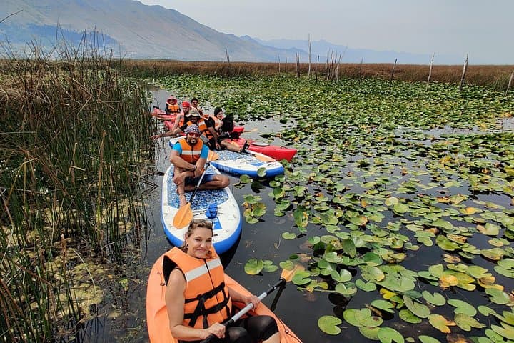 Paddle Lake Shkodër: SUP and Kayak Rentals on Albania's Wild Waters