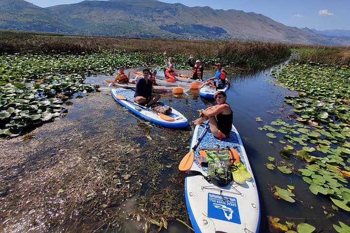 Paddle Lake Shkodër: SUP and Kayak Rentals on Albania's Wild Waters photo 2