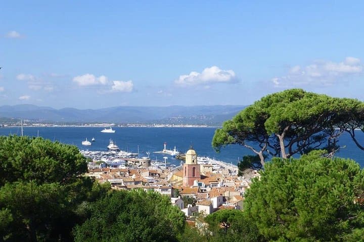 Full-Day Private French Riviera Tour: Nice, Cannes, Monaco & Saint-Tropez photo 4