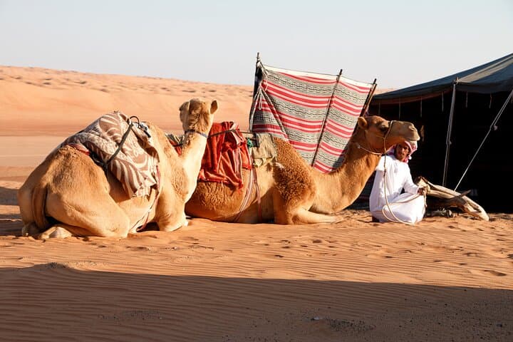 Wahiba Sands and Wadi Bani Khalid Private Day Tour from Muscat photo 2