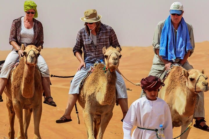Wahiba Sands and Wadi Bani Khalid Private Day Tour from Muscat photo 4