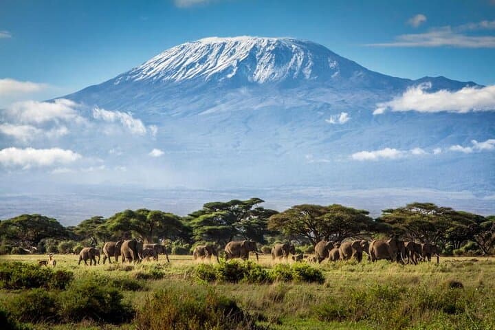 7-Day Kilimanjaro Machame Route Expedition to Uhuru Peak photo 5