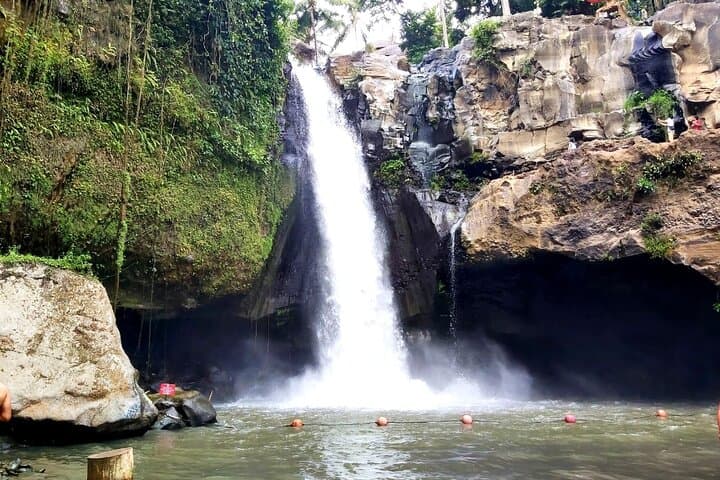 Best of Ubud Private Tour: Monkey Forest, Tegalalang & Temple Walks photo 6