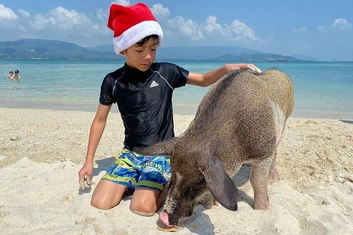 Private Longtail to Pig Island: Koh Madsum & Koh Tan Half‑Day Snorkel photo 2