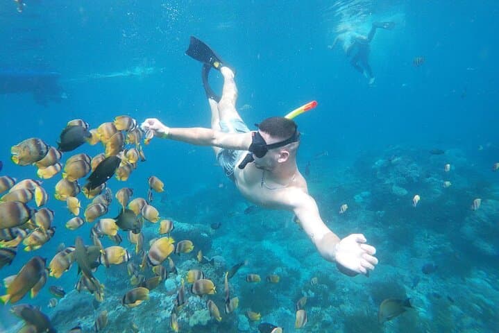 Nusa Penida Snorkeling: Manta Point, Gamat Bay & Wall Point Day Trip photo 1
