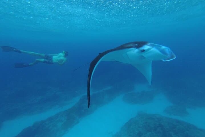 Nusa Penida Snorkeling: Manta Point, Gamat Bay & Wall Point Day Trip photo 2