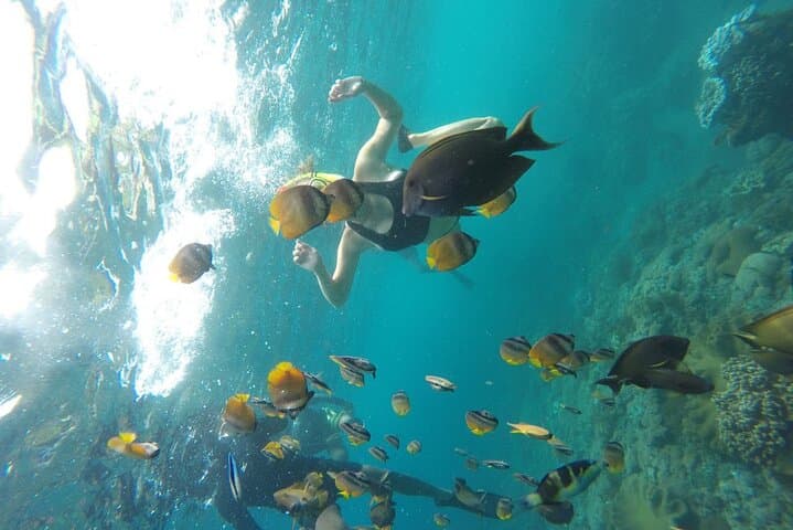 Nusa Penida Snorkeling: Manta Point, Gamat Bay & Wall Point Day Trip photo 3