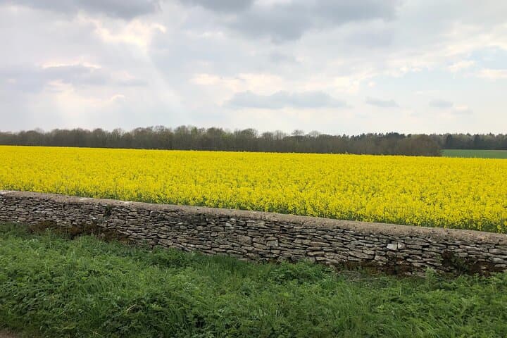 Cotswolds Shore Excursion from Southampton — Private Day Tour to Villages, Hills & Heritage photo 3