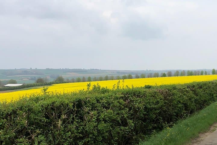 Cotswolds Shore Excursion from Southampton — Private Day Tour to Villages, Hills & Heritage photo 4