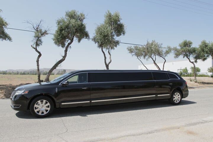 Dubai Private Limo Ride: 2-Hour Chauffeured Tour Along Sheikh Zayed Road & Downtown photo 2