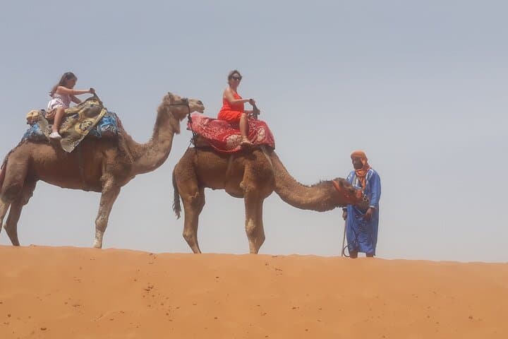 Agadir Camel and Horse Riding: Souss River Ranch & Eucalyptus Trails photo 4