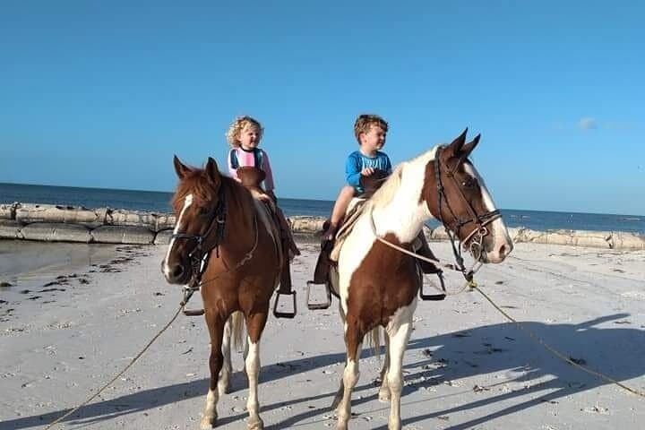 Horseback Riding on Holbox Beaches: Ride Mangroves & Caribbean Shoreline photo 4
