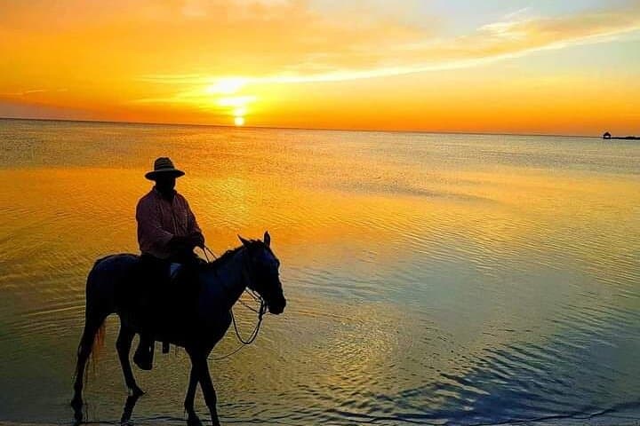 Horseback Riding on Holbox Beaches: Ride Mangroves & Caribbean Shoreline photo 2