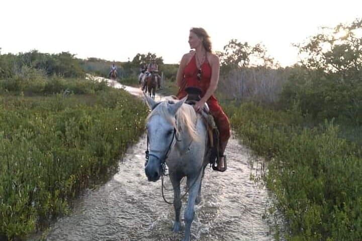 Horseback Riding on Holbox Beaches: Ride Mangroves & Caribbean Shoreline photo 6