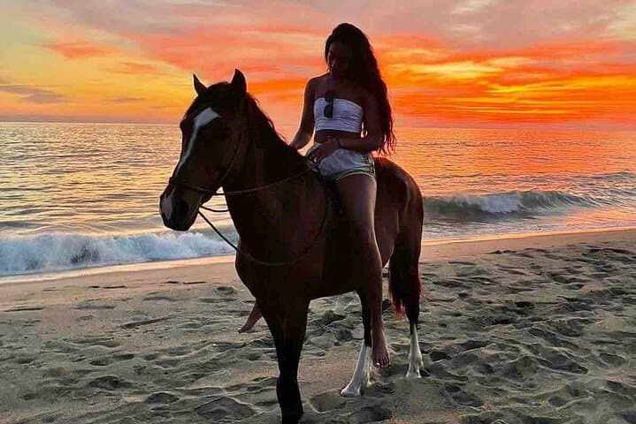 Horseback Riding on Holbox Beaches: Ride Mangroves & Caribbean Shoreline
