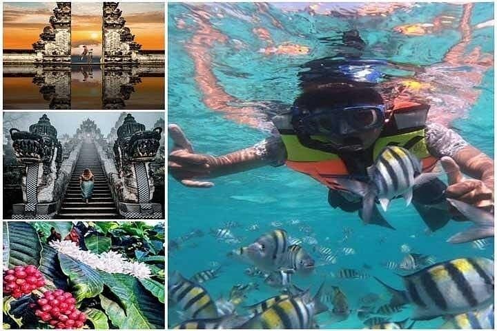 Blue Lagoon Bali Snorkeling Day Trip — Padangbai to Lempuyang & Coffee Plantation photo 1