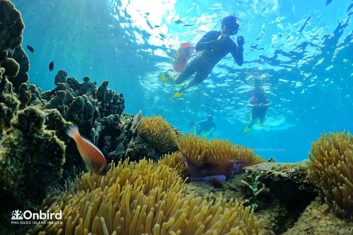 Phu Quoc Private Speedboat Snorkel to South Hidden Reefs (An Thoi)