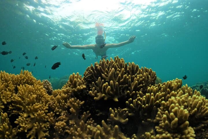 Phu Quoc Private Speedboat Snorkel to South Hidden Reefs (An Thoi) photo 2