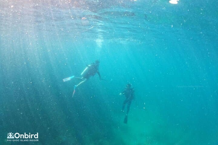 Scuba Diving the An Thoi Islands — Phu Quoc Certified Day Dives photo 6