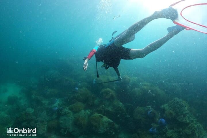 Scuba Diving the An Thoi Islands — Phu Quoc Certified Day Dives photo 2