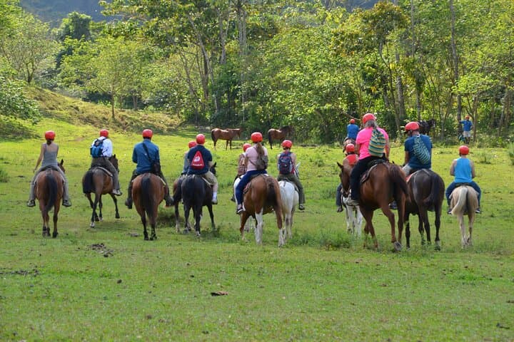 Horseback Ride to La Fortuna Waterfall: Jungle Trails & a 65m Plunge photo 3