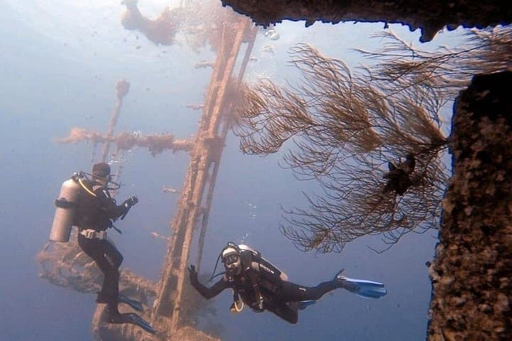 Red Sea Scuba Diving in Aqaba: Guided Dives with Hammerheads and Vibrant Reefs