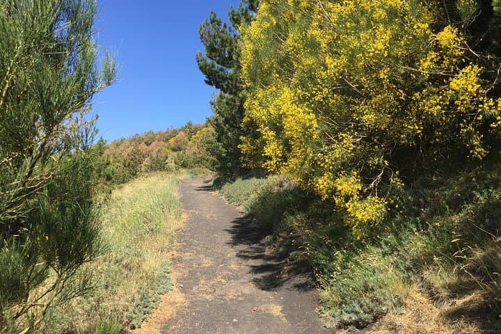 Half-Day Trekking on Etna: Valle del Bove Hike to 2,300m photo 3