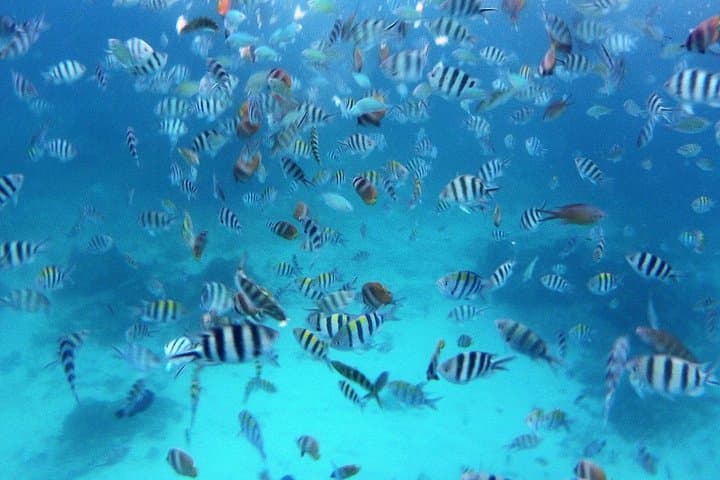 Undiscovered Gili Nanggu: Private 3-Island Snorkel & Beach Day from Lombok photo 2