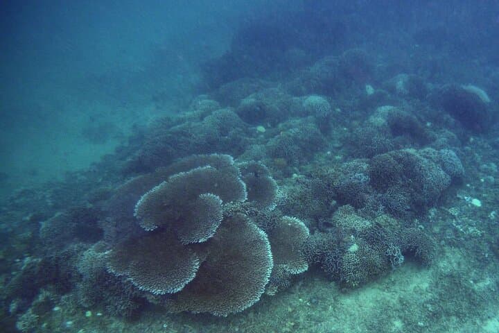 Undiscovered Gili Nanggu: Private 3-Island Snorkel & Beach Day from Lombok photo 3