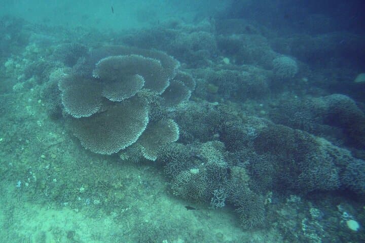 Undiscovered Gili Nanggu: Private 3-Island Snorkel & Beach Day from Lombok photo 4