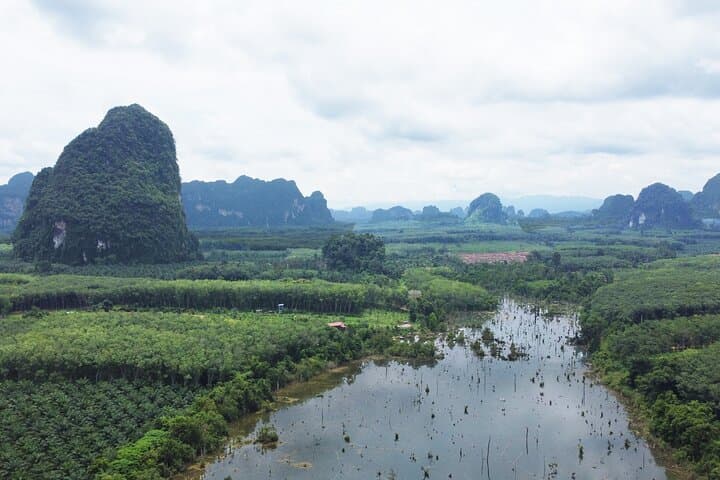 Krabi Rainforest, Emerald Pool & Kayak: Private Day Tour from Ao Nang photo 5