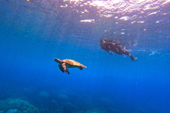 Daymaniyat Islands Snorkeling: Half-Day Marine Reserve Trip from Muscat photo 3