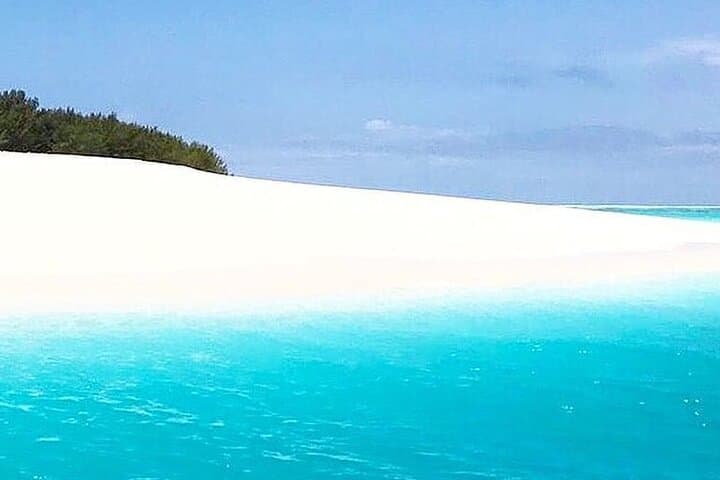 Full-Day Zanzibar: Mnemba Snorkel & Dolphin Swim with Stone Town and Jozani Forest photo 2