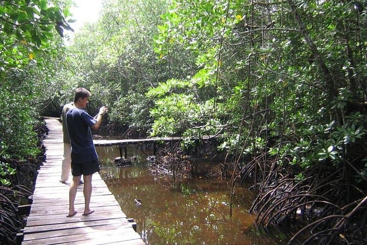Private Stone Town to Jozani: Walking Tour, Spice Farm & Mangrove Boardwalk photo 4
