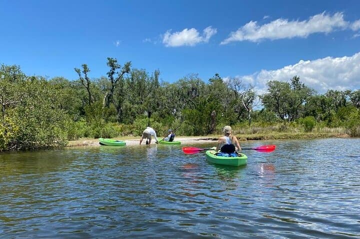 Kayak Eco Tour on Anclote River: Mangroves & Tarpon Springs Sponge Docks photo 3