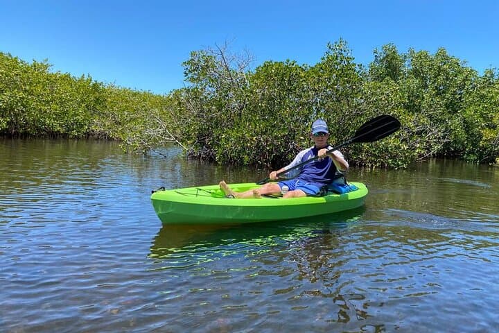 Kayak Eco Tour on Anclote River: Mangroves & Tarpon Springs Sponge Docks photo 1