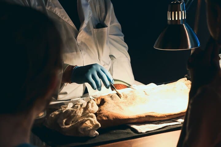 Board the Whydah: Real Pirates Exhibit and Discovery Lab in Salem photo 5