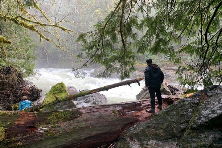 Guided Forest Hike to Twin Falls and Snoqualmie Falls from Seattle photo 3