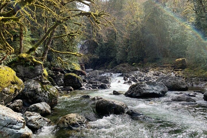 Guided Forest Hike to Twin Falls and Snoqualmie Falls from Seattle photo 6