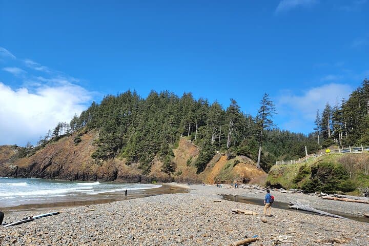 Day Trip to the Oregon Coast from Portland — Haystack Rock, Ecola & Cannon Beach photo 3