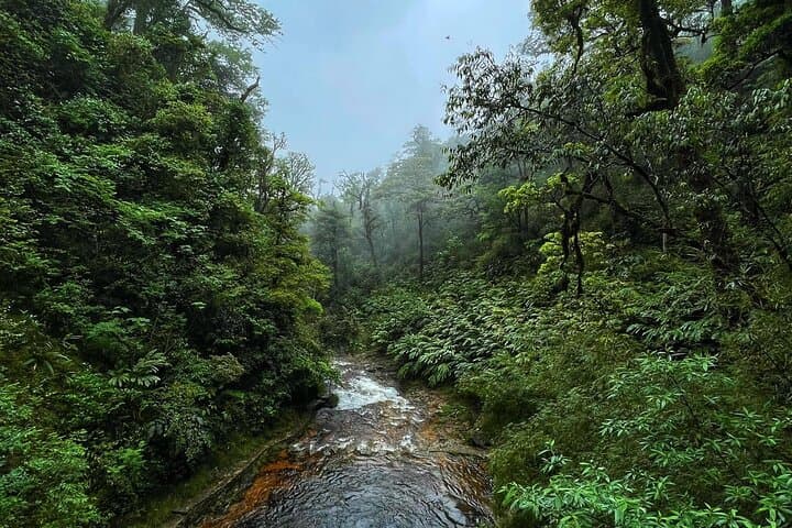 Sapa Love Waterfall Trek: Silver Falls, Muong Hoa Valley & Hmong Village Experience photo 3