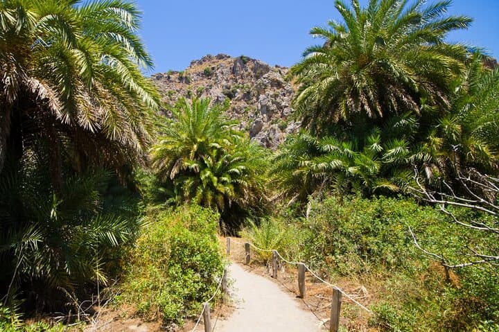 Preveli Palm Beach Boat Cruise & Rethymnon Day Trip from Heraklion photo 5