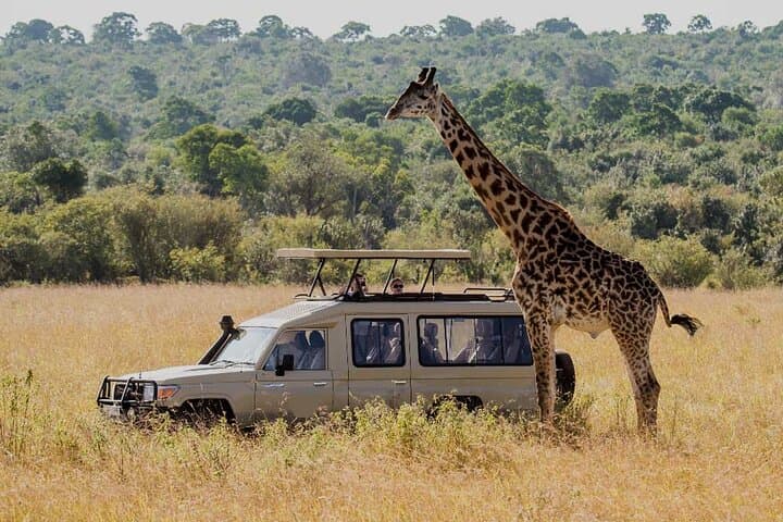 8-Day Tanzania Family Safari: Tarangire, Serengeti & Ngorongoro Crater photo 4