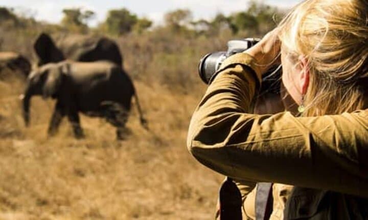8-Day Tanzania Family Safari: Tarangire, Serengeti & Ngorongoro Crater photo 5
