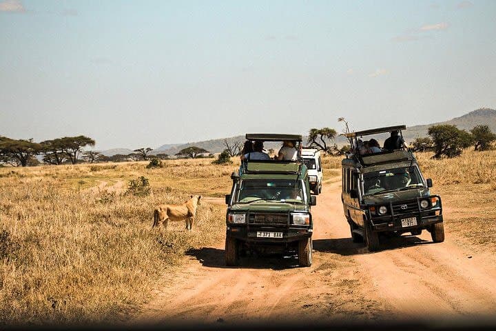 8-Day Tanzania Family Safari: Tarangire, Serengeti & Ngorongoro Crater photo 6