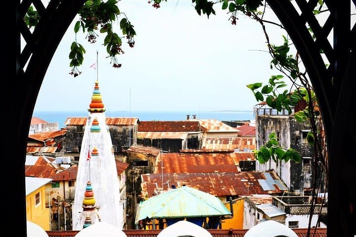 Full-Day Zanzibar: Stone Town, Jozani Forest, Kuza Cave & Paje Beach