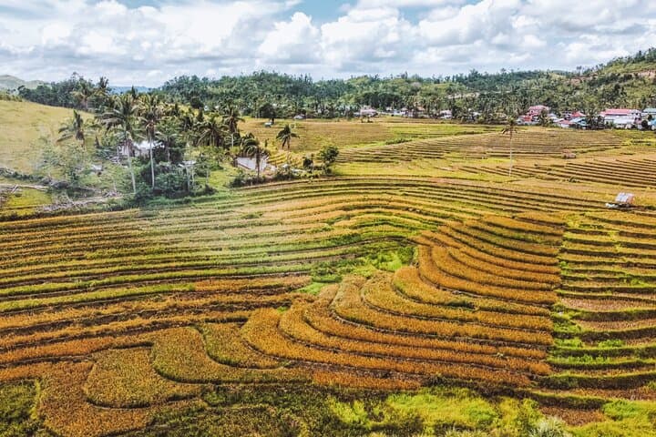 Bohol Alicia Panoramic Park: Can-Umantad Falls, Rice Terraces & Anda Beach Day Tour photo 5