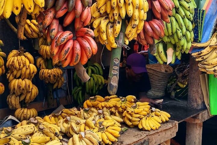 Zanzibar full-day spice garden, Stone Town & Kendwa beach experience