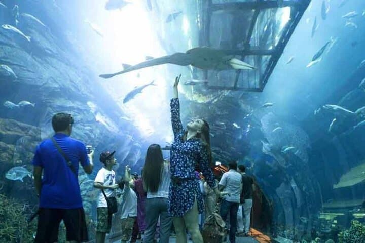 Dubai Aquarium & Underwater Zoo: Tunnel Tickets, Encounters & Visitor Guide photo 2
